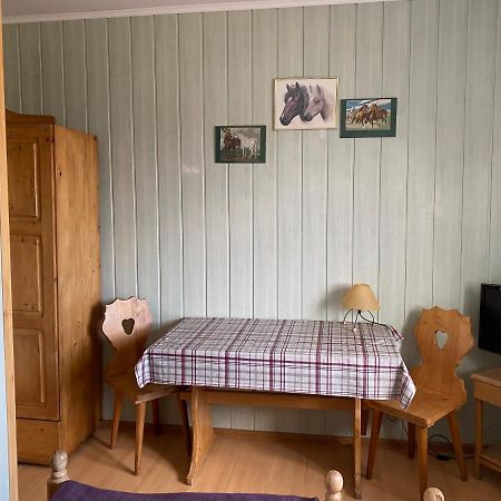 Osrodek Jezdziecki Bronkow Bed & Breakfast エクステリア 写真